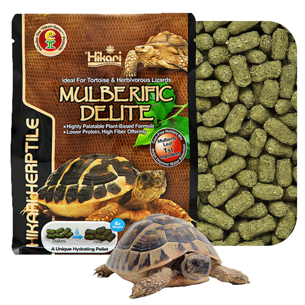 Levně Hikari Mulberific Delite Krmivo pro suchozemské želvy 1000 g 1 kg