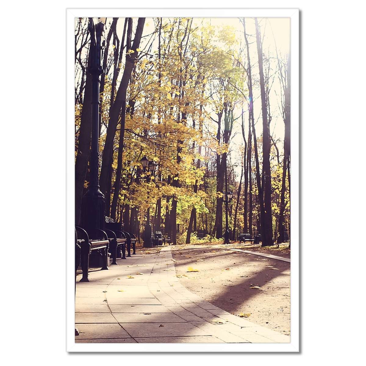 Plakáty v rámu 40x60 Městský park Krajina