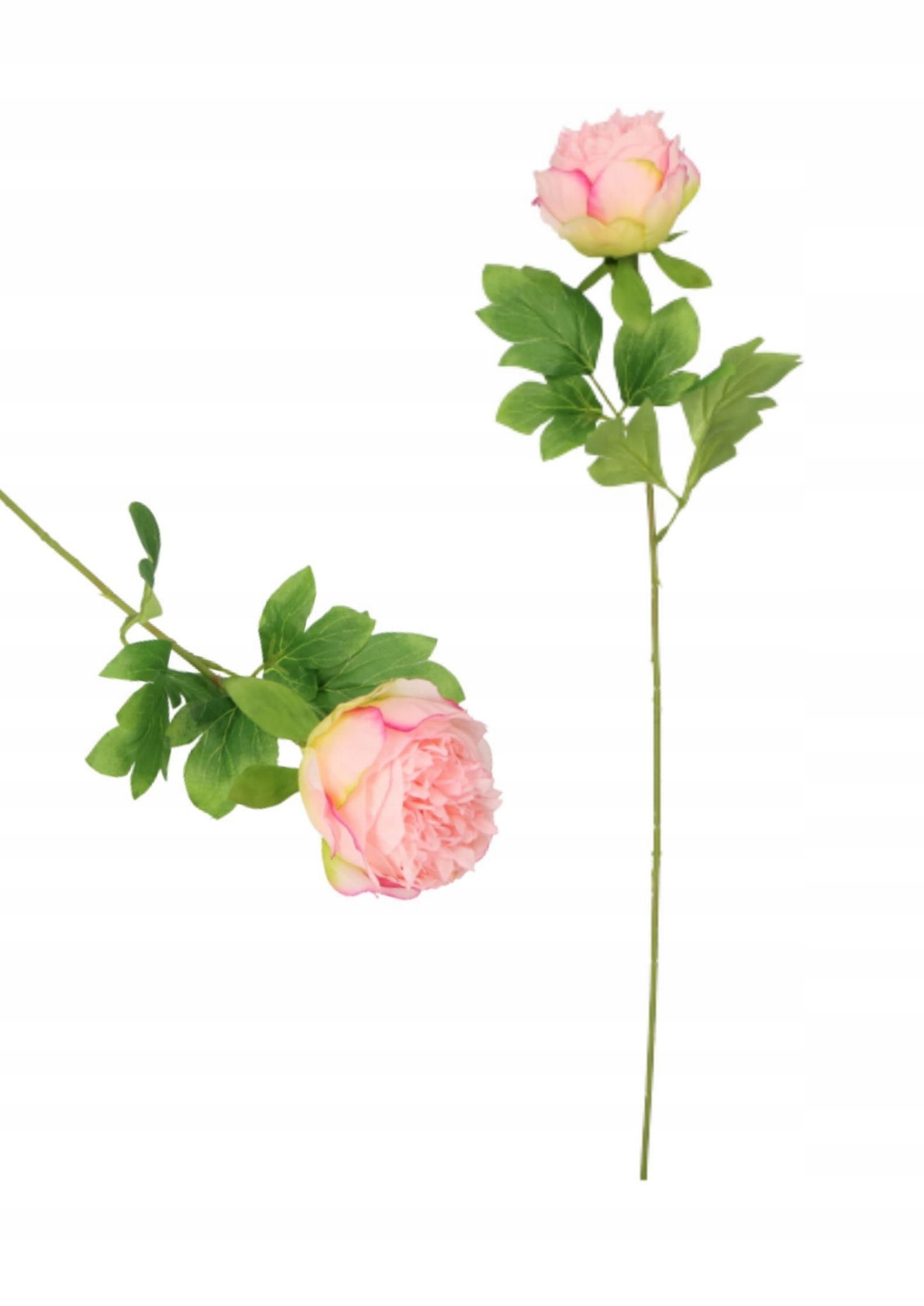 

Kwiat sztuczny piwonia 63 cm Peonia
