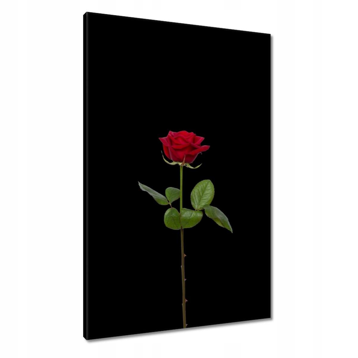 Obrazy 60x90 Den žen Dárek Láska