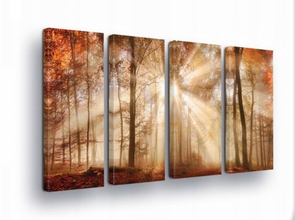 Obraz 120x80 Jesenný les slnečné lúče hmla príroda krajina pokoj