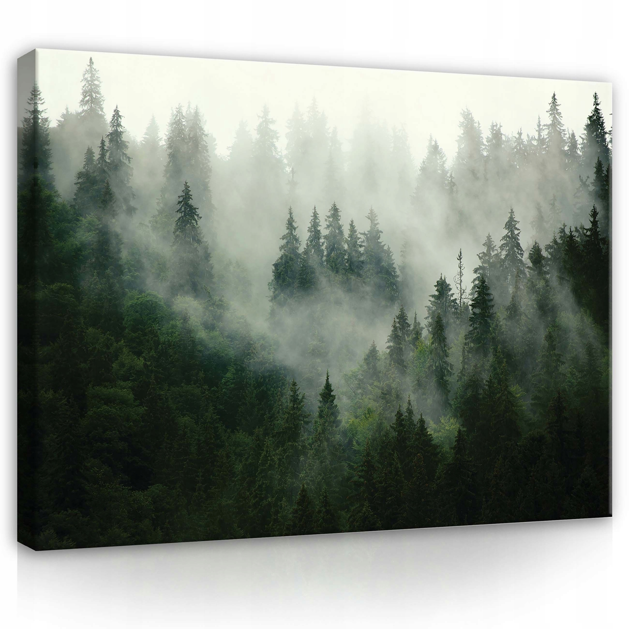 Obraz 120x80 Les v mlze mlhavý les příroda krajina mystika klid ticho