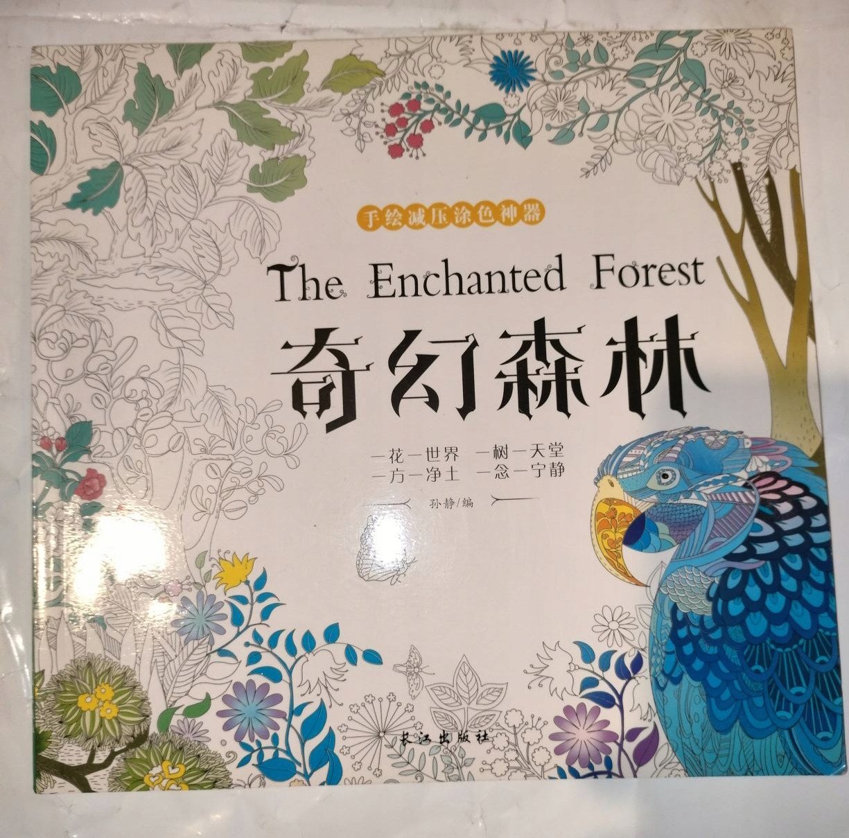 The enchanted forest