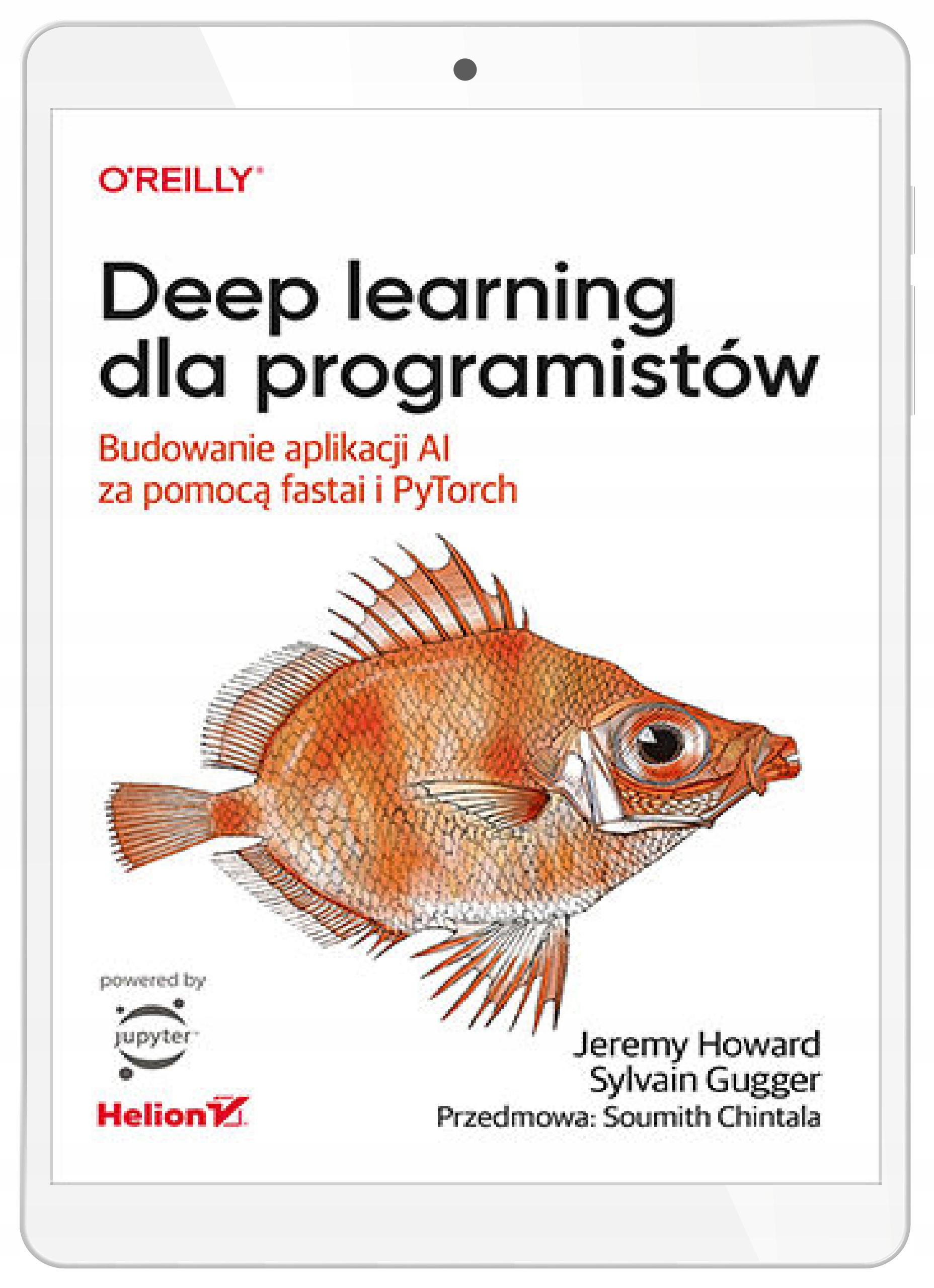 Deep learning для программистов. Строительство