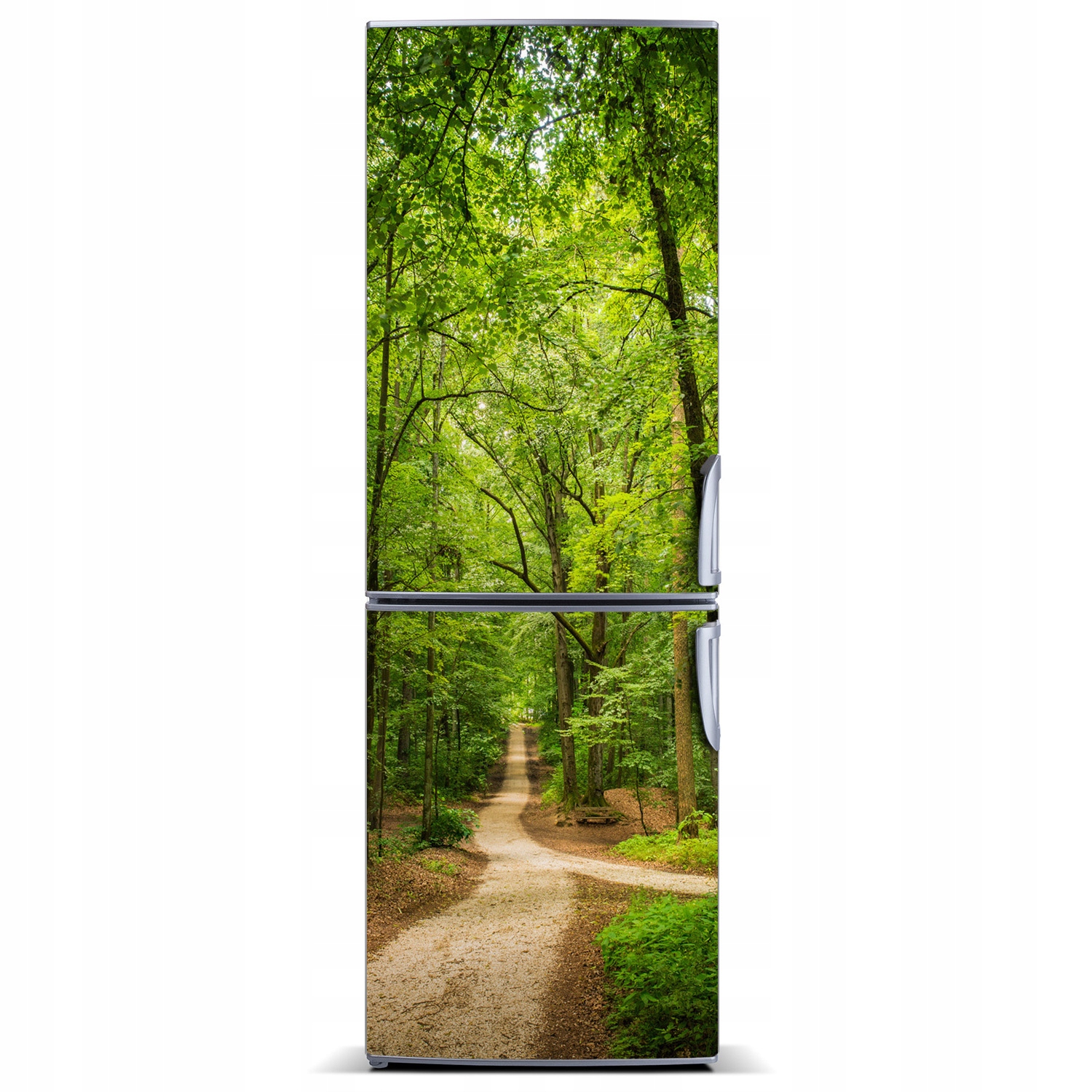 

Magnes na lodówkę Ścieżka w lesie 60x180