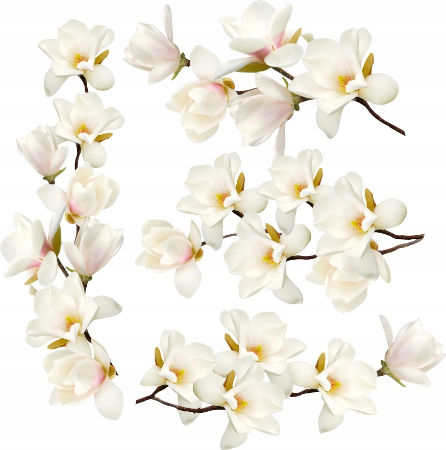 Naklejki na ścianę meble białe kwiaty magnolia 100x200cm K6
