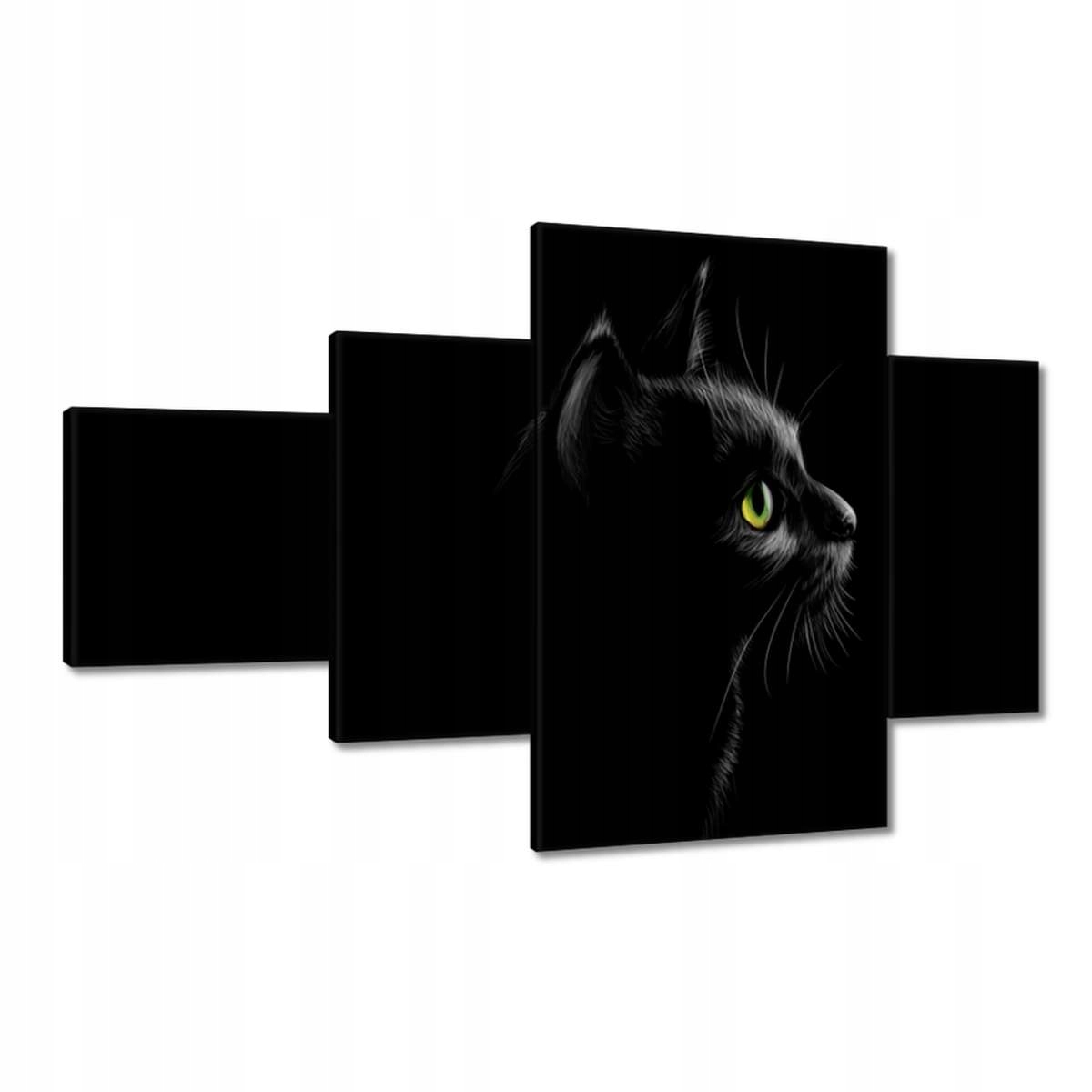 Obrazy 130x80 Černá kočka kočička kočka