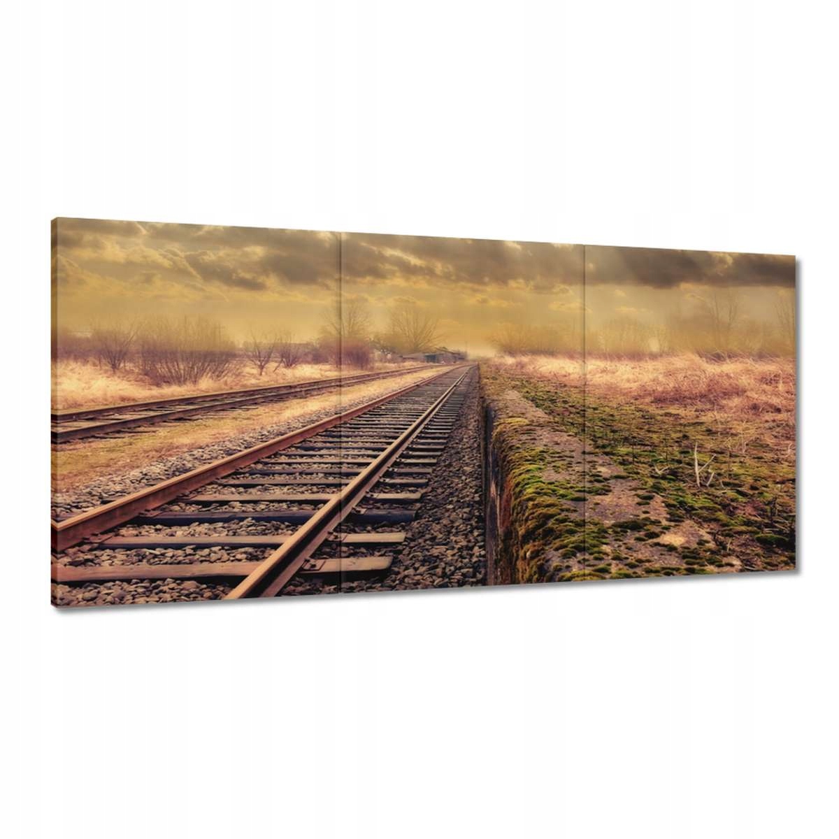 Obrazy 180x90 Železničné vlaky Trať