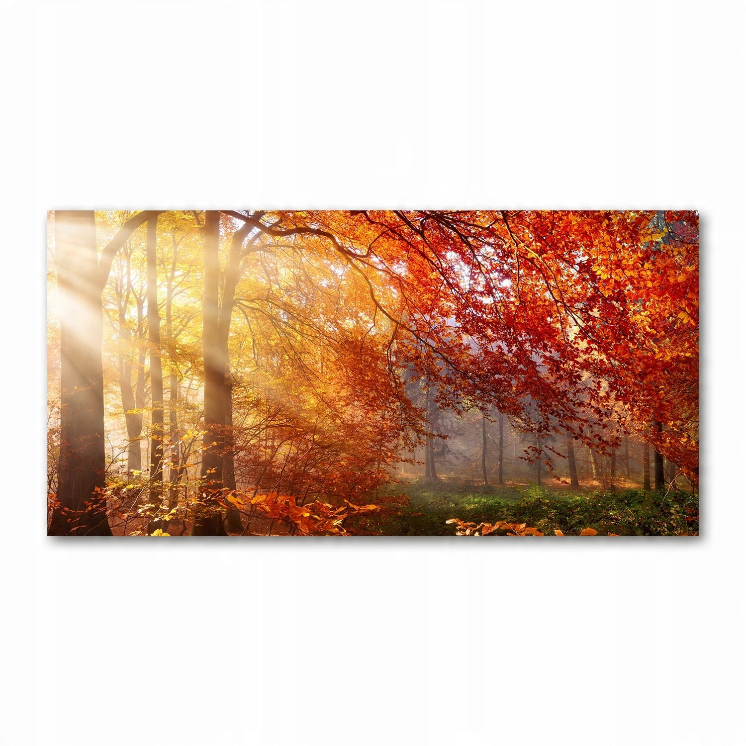 

Foto obraz szkło hartowane Jesienny las 140x70
