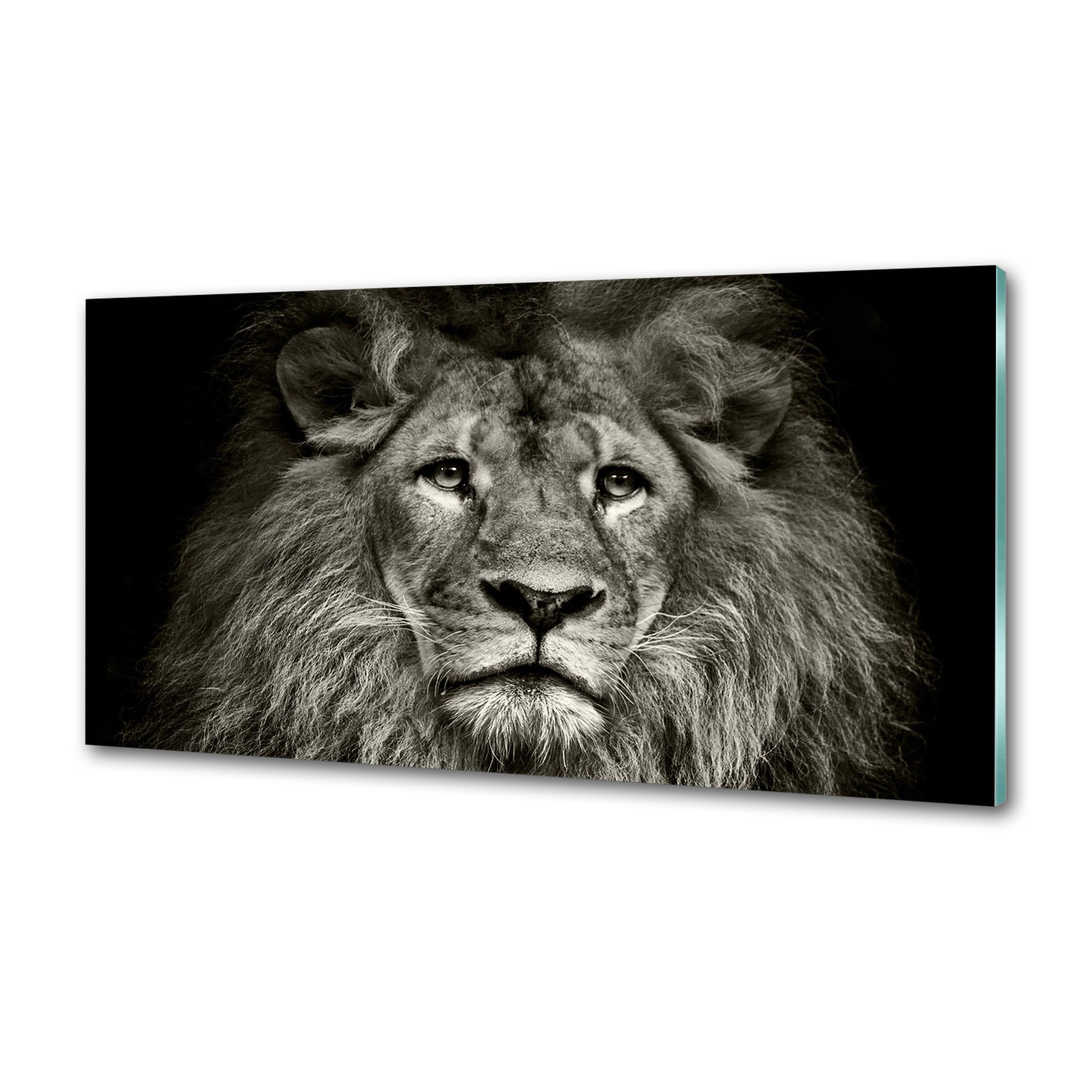 Panel tvrdené sklo do kuchyne Lev 120x60 Lepidlo