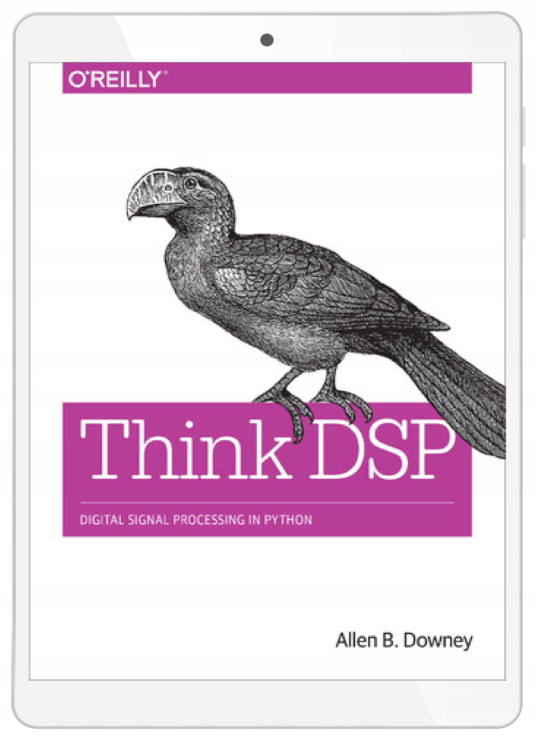 Think DSP. Digital Signal Processing in Python
