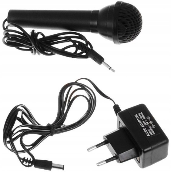 Keyboard DLA DZIECI ORGANY syntezator Z MIKROFONEM Rodzaj organy