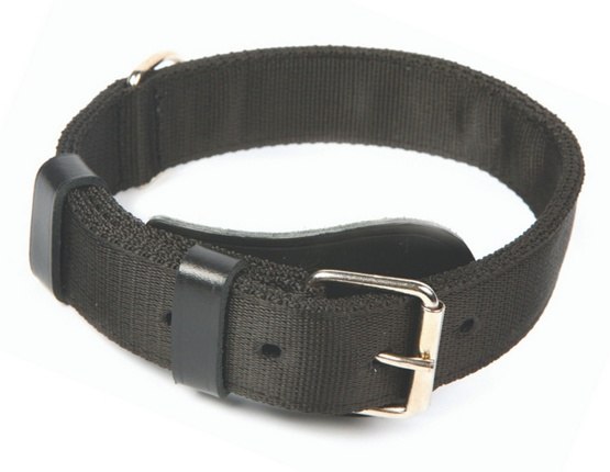 Levně Dingo Speciální obojek z pásky 4,0x55-65cm černý