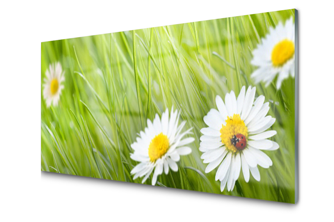 

Panel szklany dekor Trawa Stokrotki 120x60 + Klej