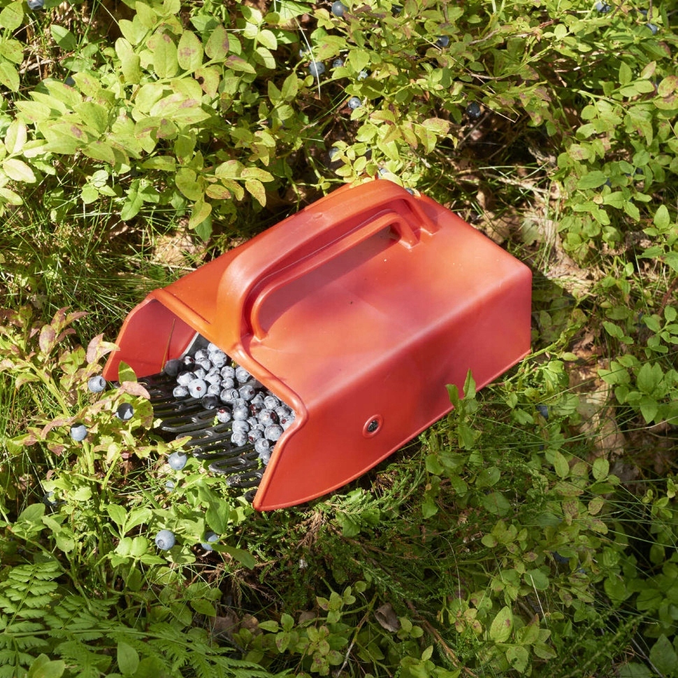 ZBIERACZKA GRZEBIEŃ DO JAGÓD BORÓWEK PORZECZEK OWOCÓW SOLIDNA Typ cylinder