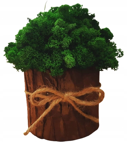 DEKORACJA MECH CHROBOTEK KUBEŁEK OZDOBA DO DOMU