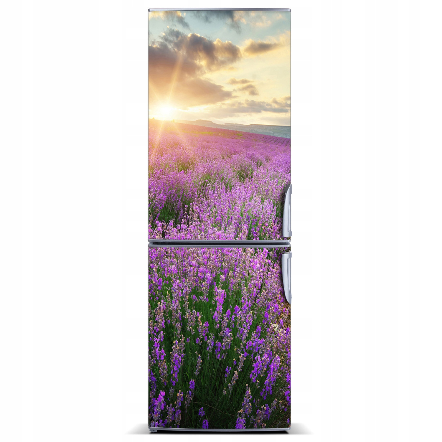 

Naklejka fototapeta na lodówkę Pole lawendy 60x180