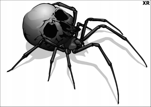 

PK16XR Tatuaż tymczasowy Pająk Czaszka zmywalny