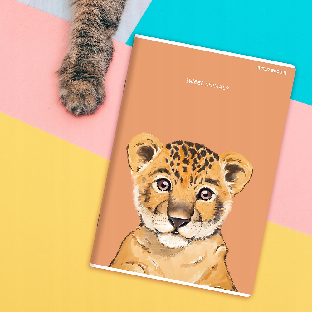 ZESZYT DO SŁÓWEK TOP 2000 SWEET ANIMAL A6 16 KARTEK KRATKA MIKS WZORÓW Kolor Wielokolorowy