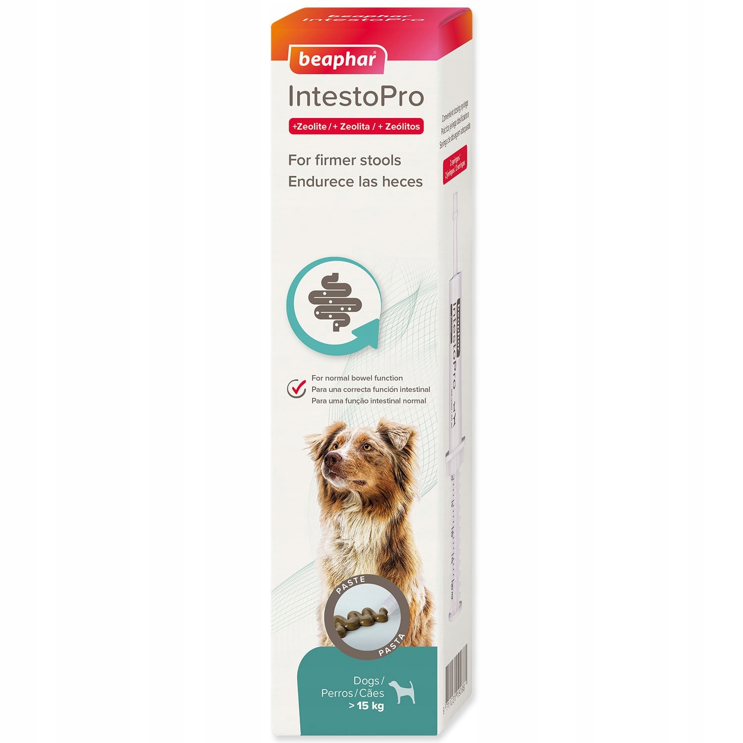 Levně Pasta Beaphar IntestoPro L pro velké psy 2x 20ml