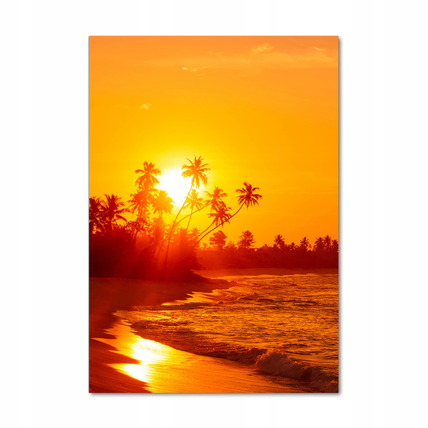 

Foto obraz szkło akrylowe Tropikalna plaża 70x100