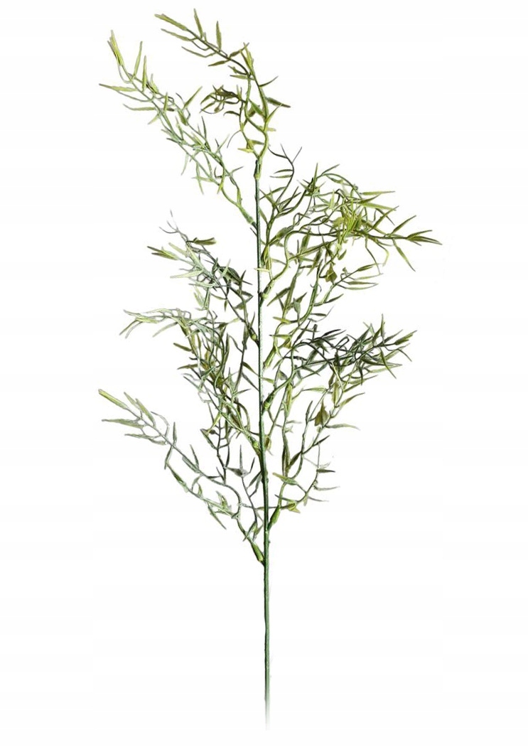 

Asparagus gałązka sztuczna do kompozycji