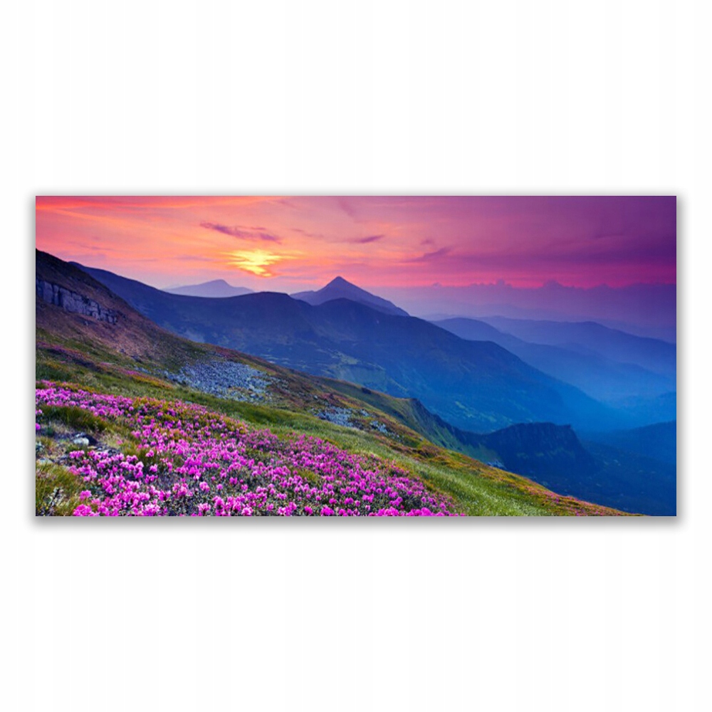 

Obraz na ścianę 120x60 Góry Łąka Kwiaty Krajobraz