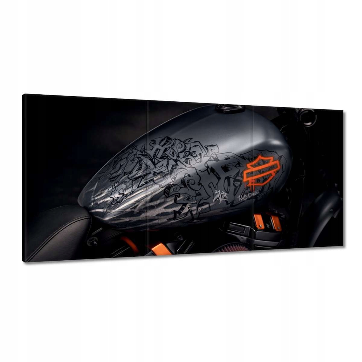 Obrazy 180x90 Harley Davidson Motocykel