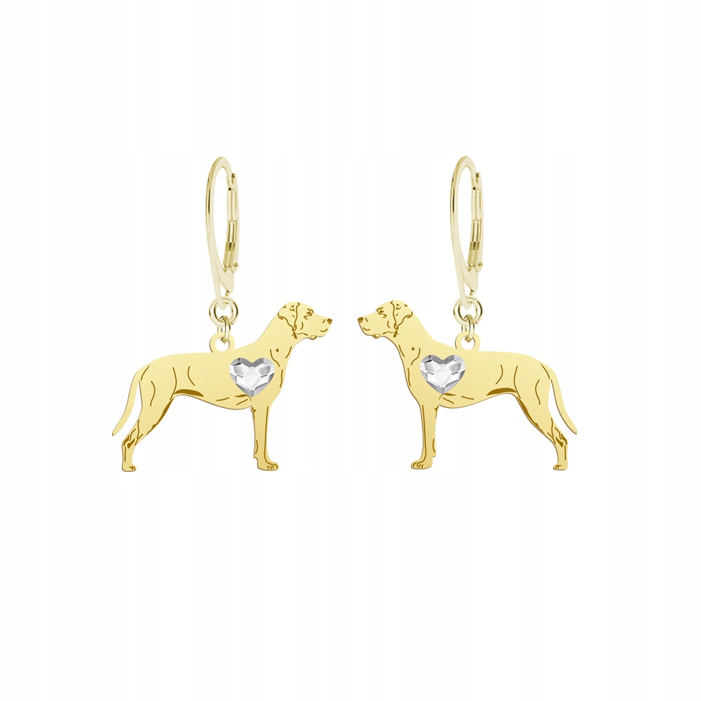 Náušnice Zlaté se psem Louisiana Catahoula 925 Šperky Žena Gravírování