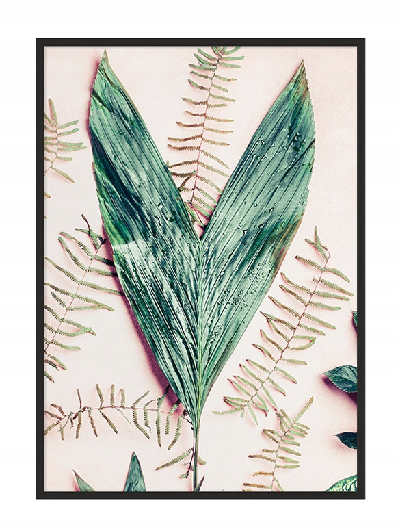 OBRAZ PLAKAT W RAMIE 33x43 cm Liść P780