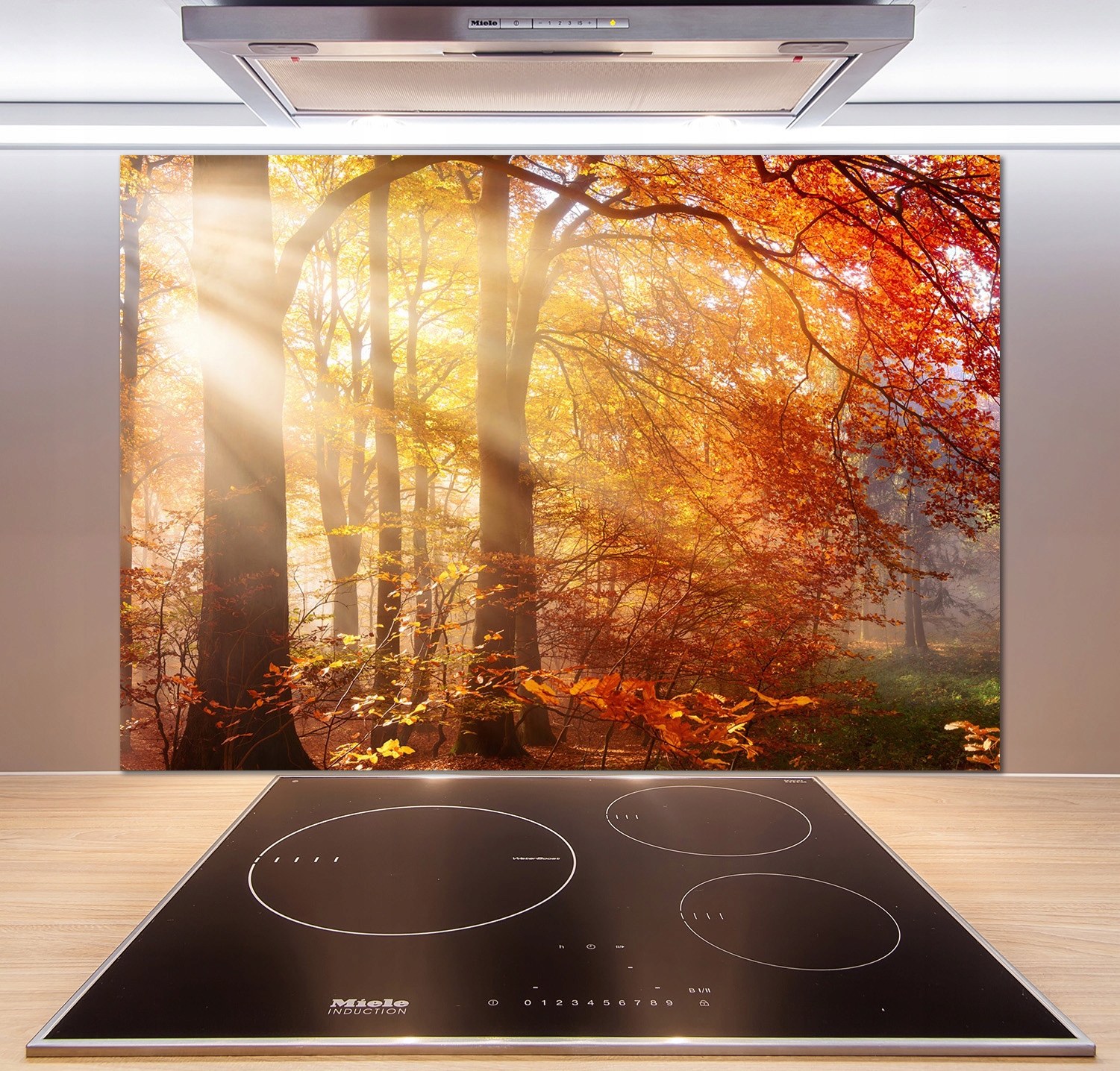 

Panel dekor szkło Jesienny las 100x70 cm + Klej