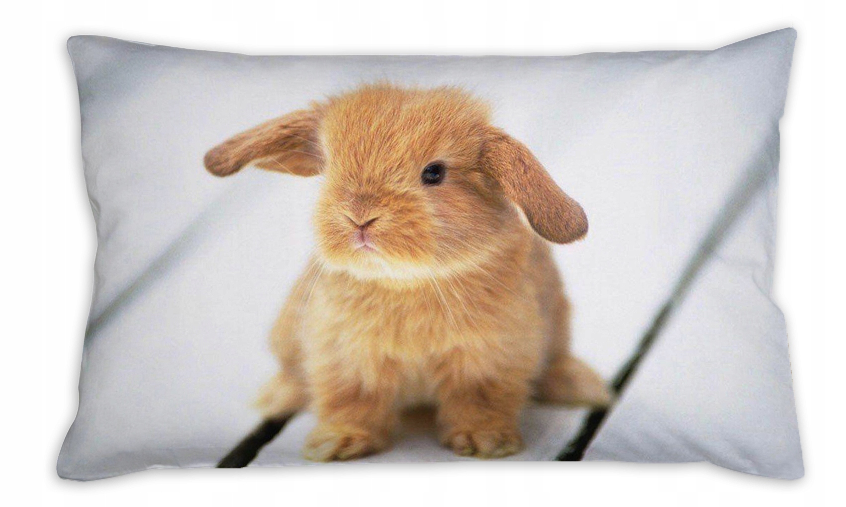 

Króliczek Królik Foto Poduszka Gadżet