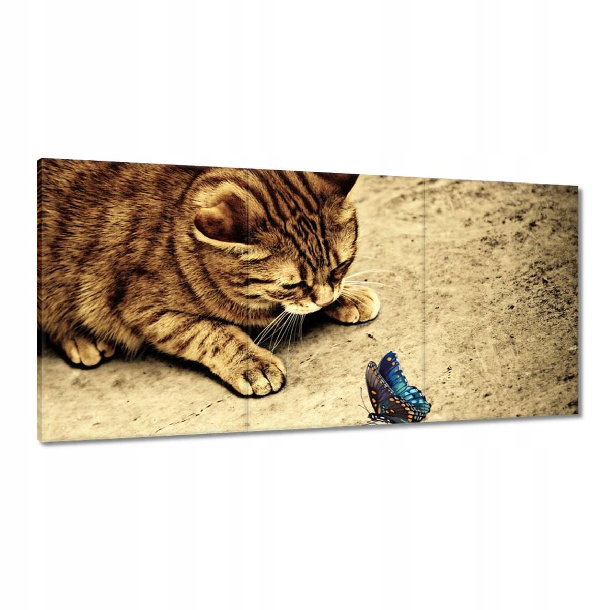 Obrazy 180x90 Mačka Mačiatka Kicia