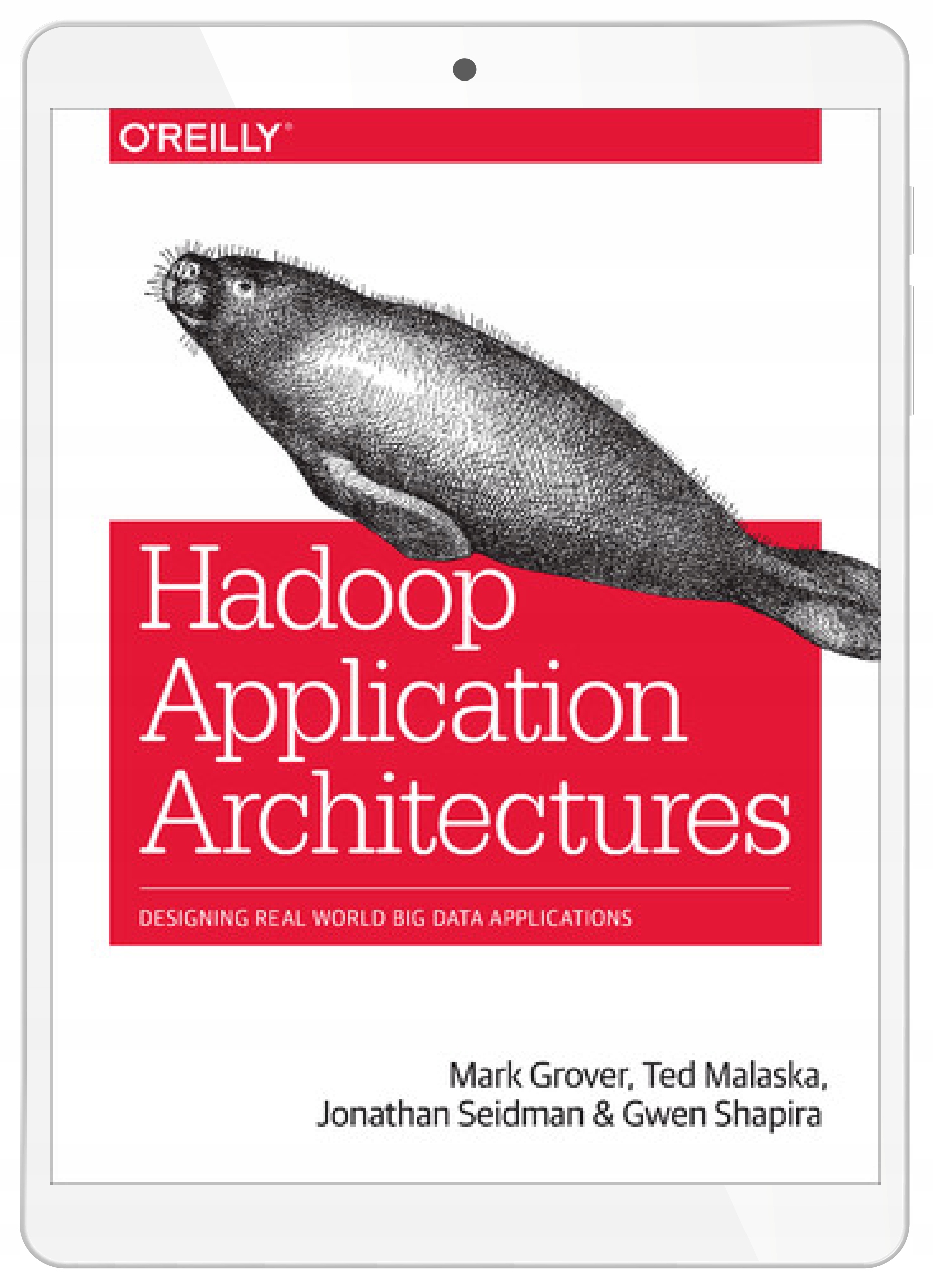 Hadoop Application Architectures
