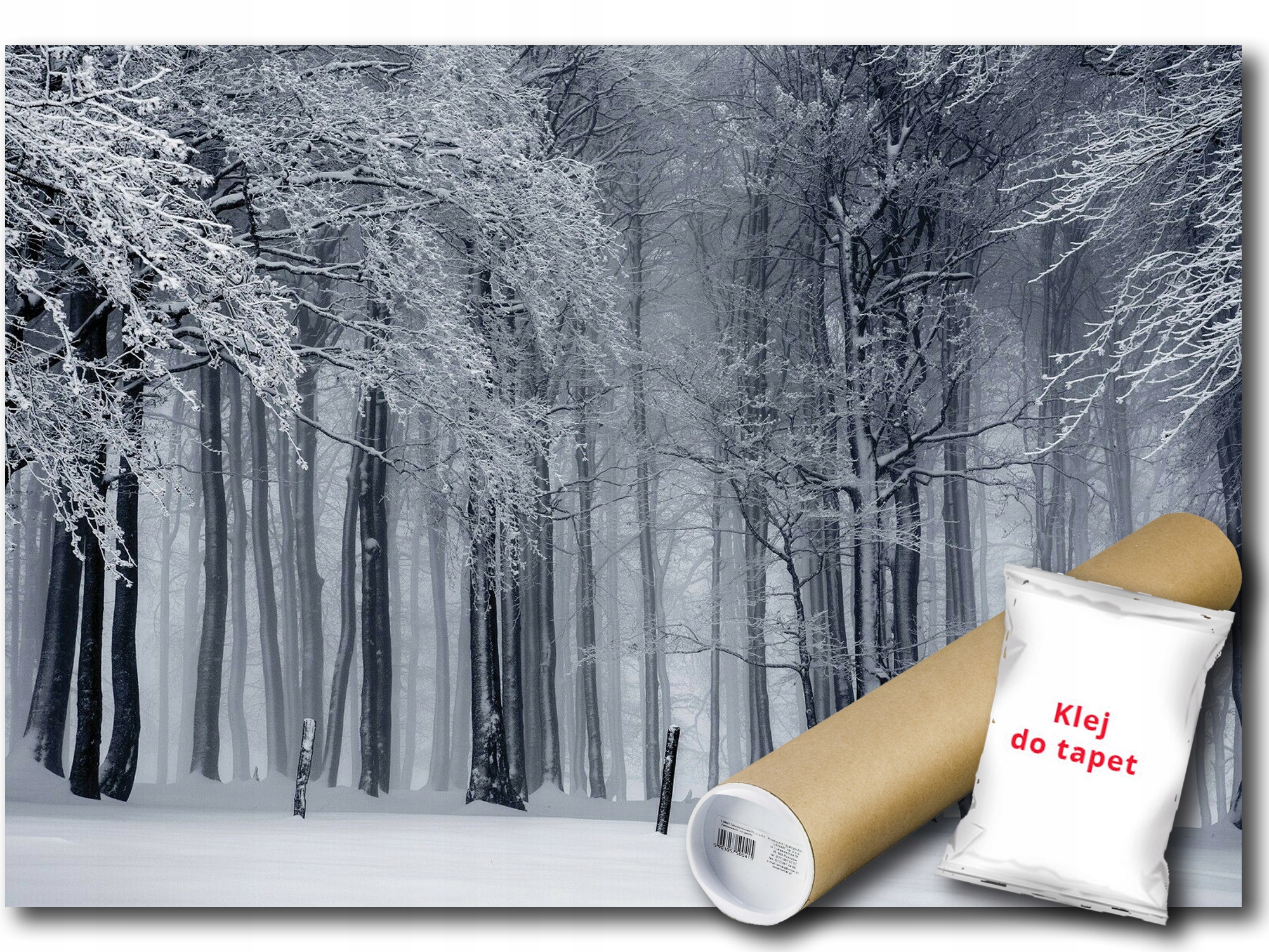 Fototapeta Flizelina Les Zima Sníh Pohled 208x146