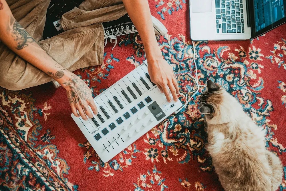 ARTURIA MINILAB 3 KLAWIATURA ANALOG LAB ABLETON Liczba klawiszy 25