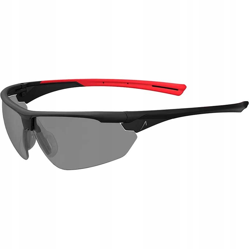 Okulary ochronne Ace Evo work goggles anti-fog Przyciemniana
