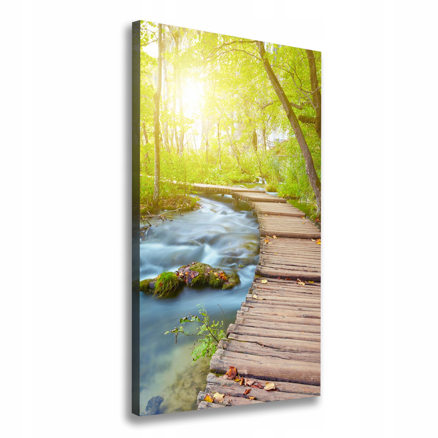 

Foto obraz na płótnie Ścieżka w lesie 50x100 cm