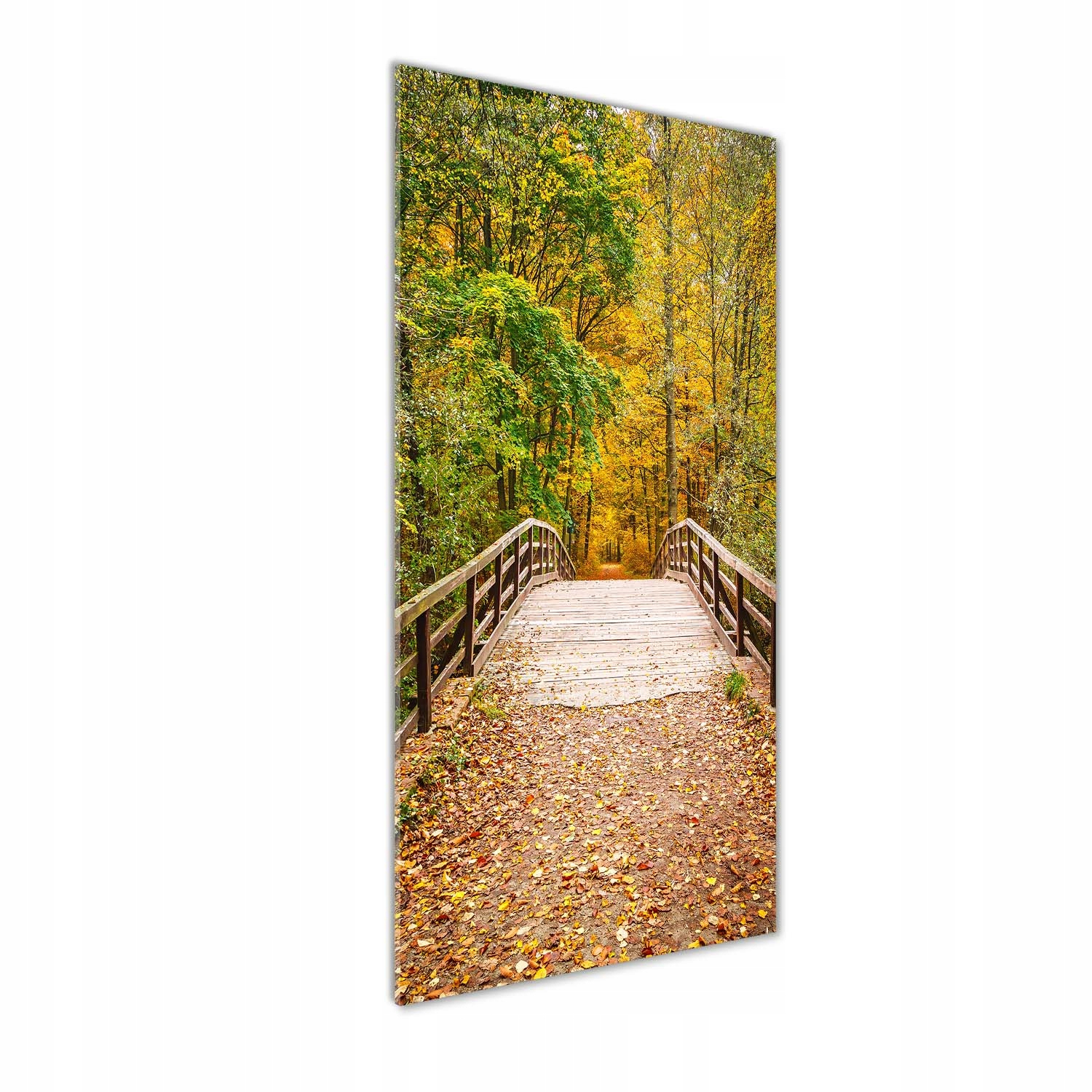 

Nowoczesny fotoobraz akrylowy Las jesienią 50x125
