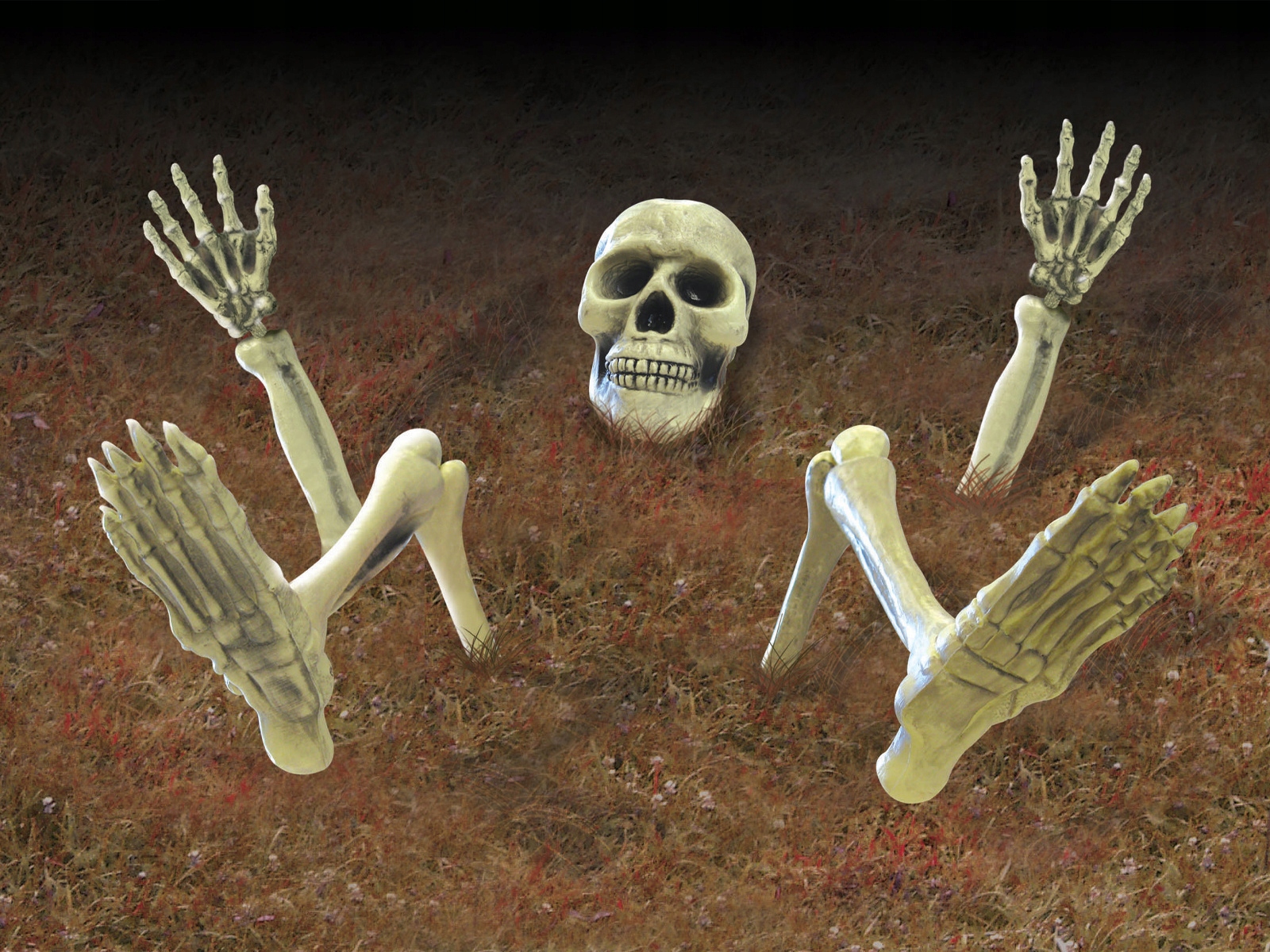 Dekorativní kostra na Halloween, zahradu, kosti, velká 74 x 38 cm, Amscan