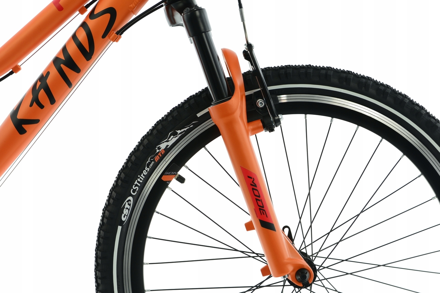 Rower Kands 24 Dragon r13