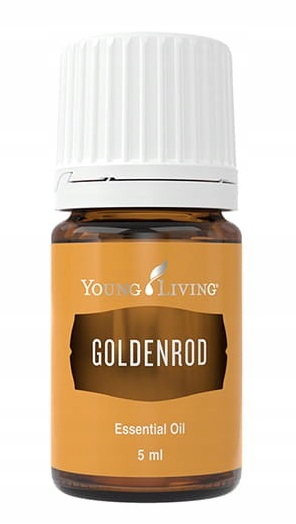 Olejek * Goldenrod * 5 ml Young Living Nawłoć kanadyjska