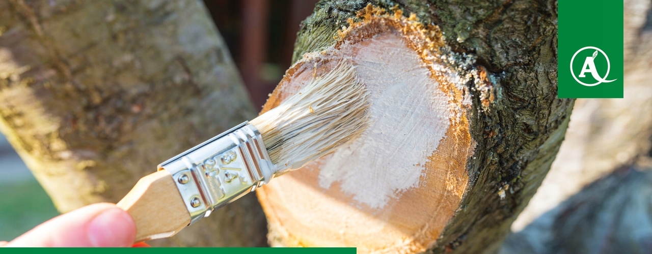 DENDROMAL MAŚĆ OGRODNICZA 0,35KG PASTA NA RANY PO CIĘCIU ZABEZPIECZENIE RAN Kod producenta 08151 C