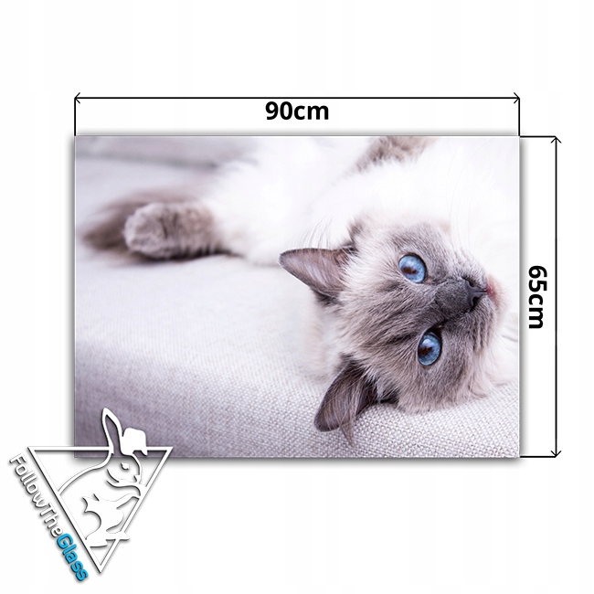 dekor szkło panel hartowany HD 90x65 kot Typ dekor