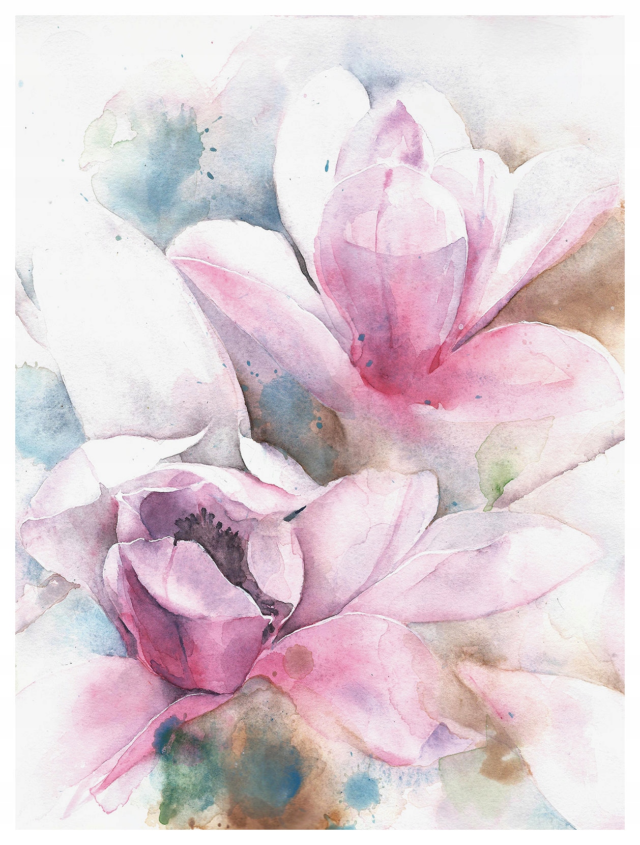 Fototapeta Magnolie akvarel jarní květiny vinylová 184x254 lepidlo
