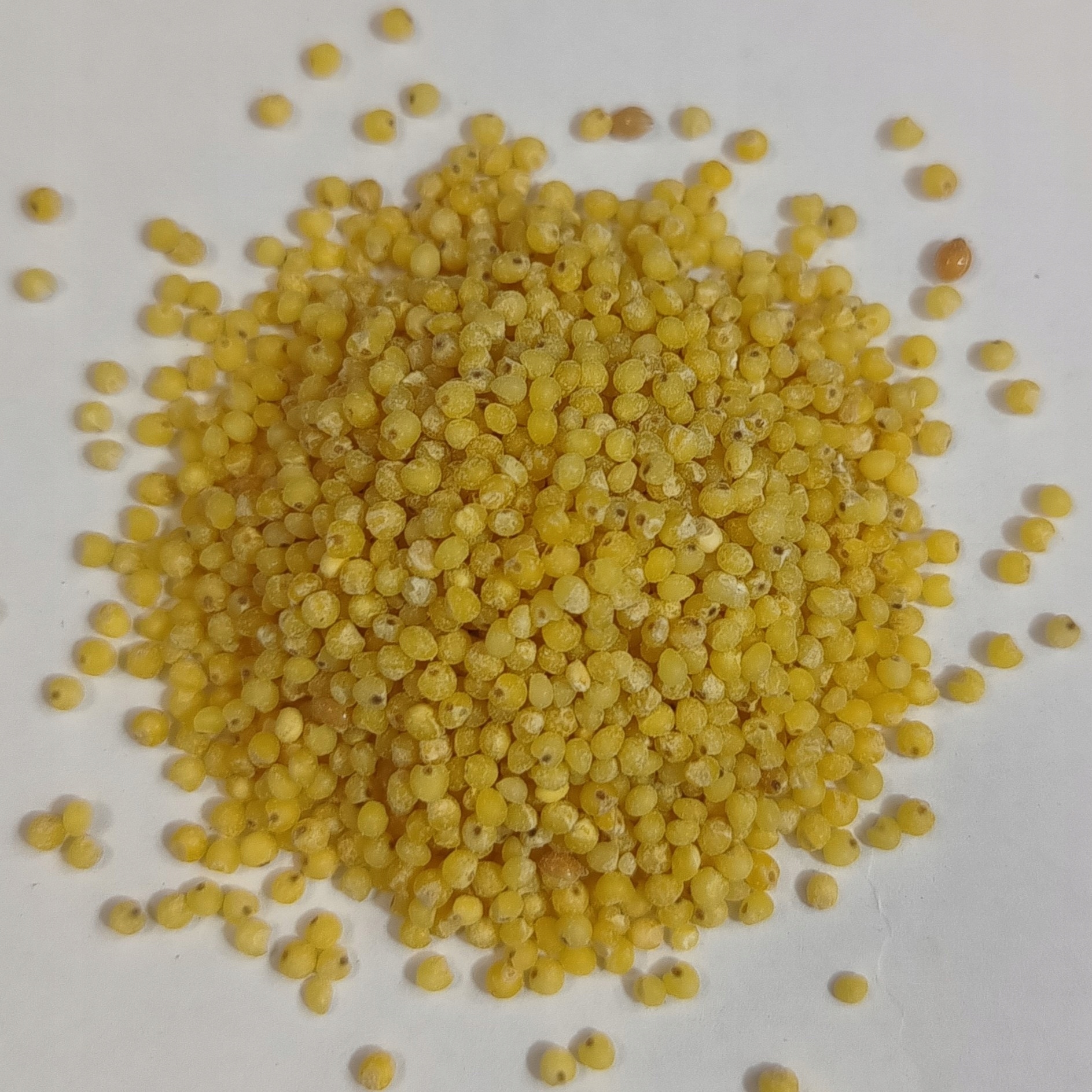 Levně Jáhlová Kaše 1 kg Rafex