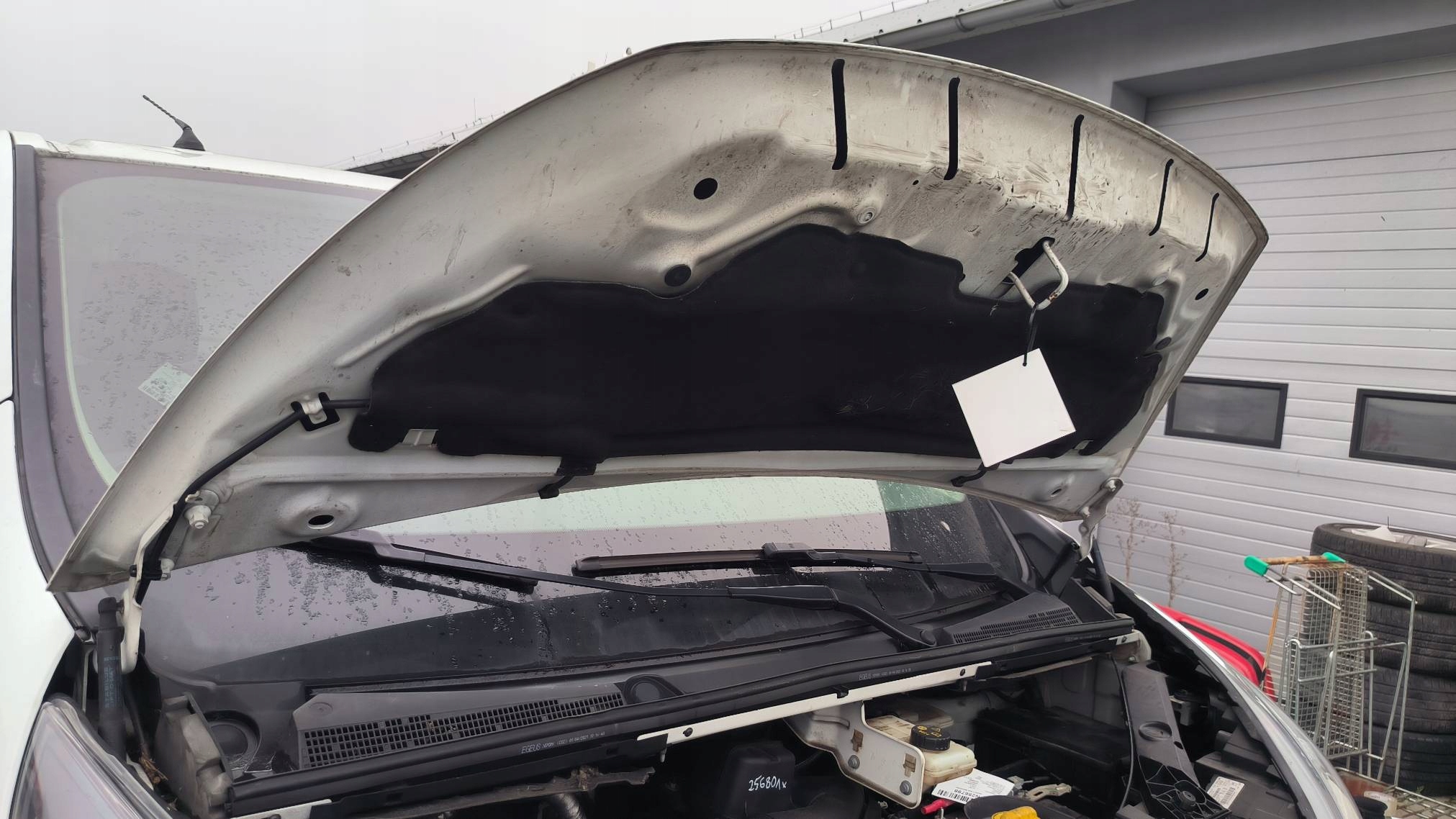 bonnet front OV369 557 FIAT TALENTO TRAFIC VIVARO