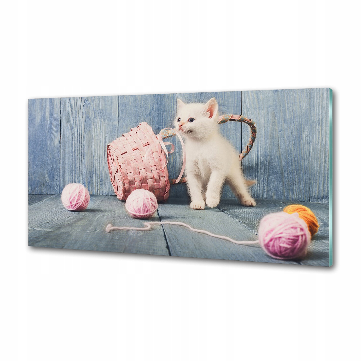 Panel do kuchyne Biela mačka a motýle 120 x 60 cm Lepidlo