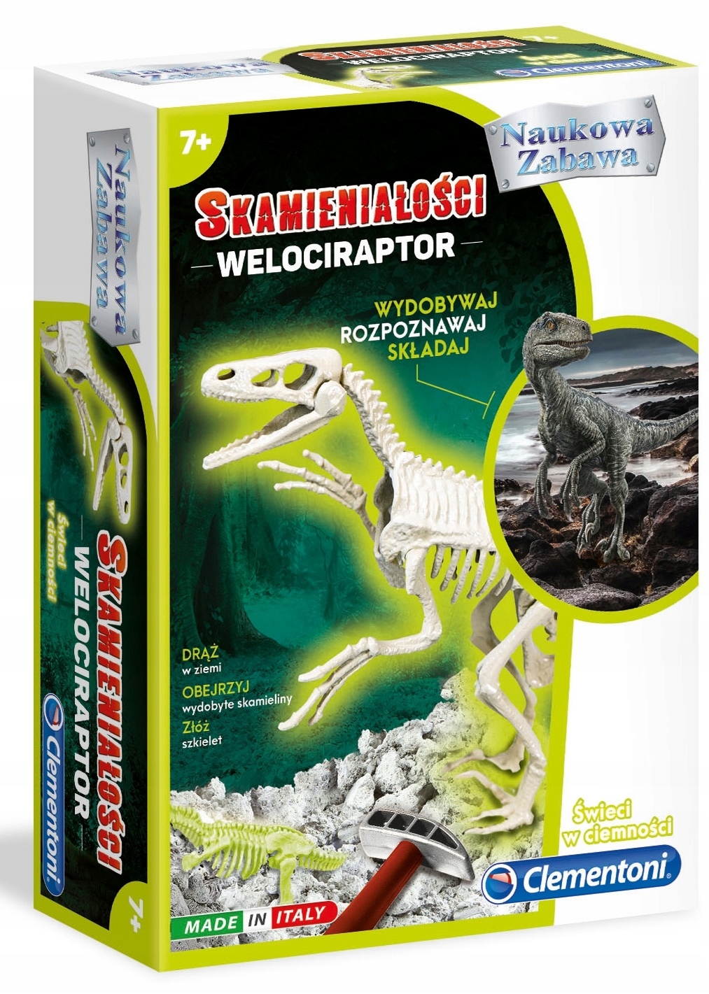 

Skamieniałości Welociraptor Dinozaur Clementoni