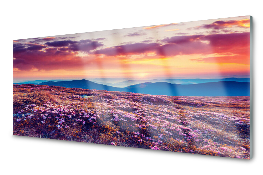 

Panel szklany do kuchni Łąka Góra Kwiaty 125x50